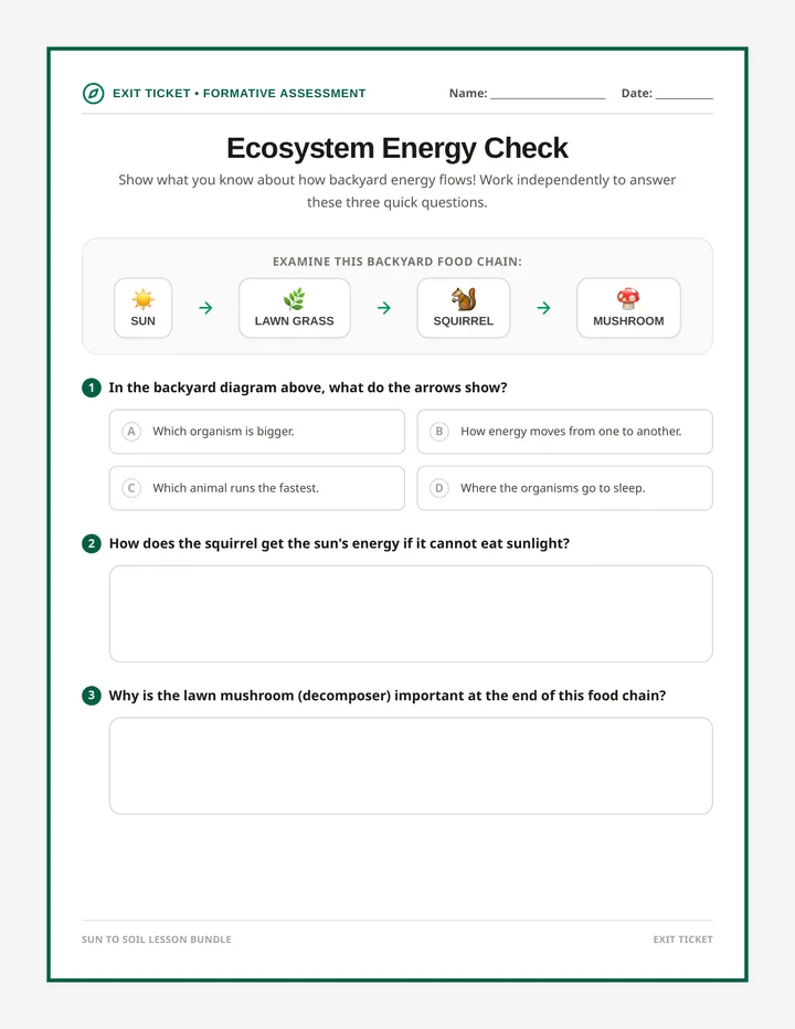 Sun to Soil Exit Ticket