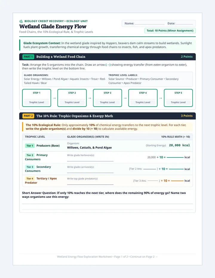 Wetland Energy Worksheet