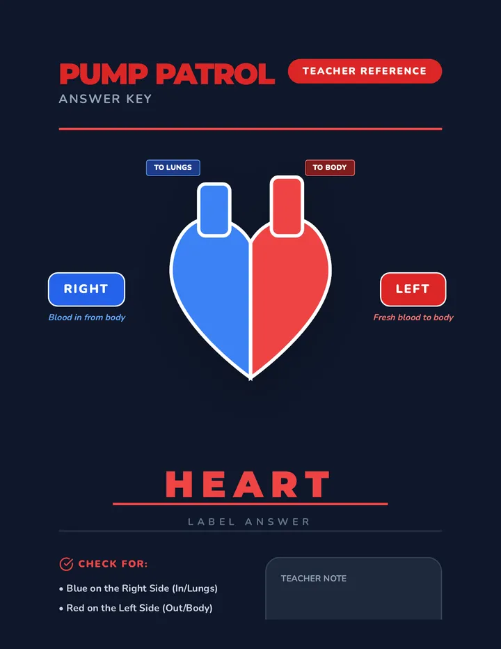 Pump Patrol Answer Key