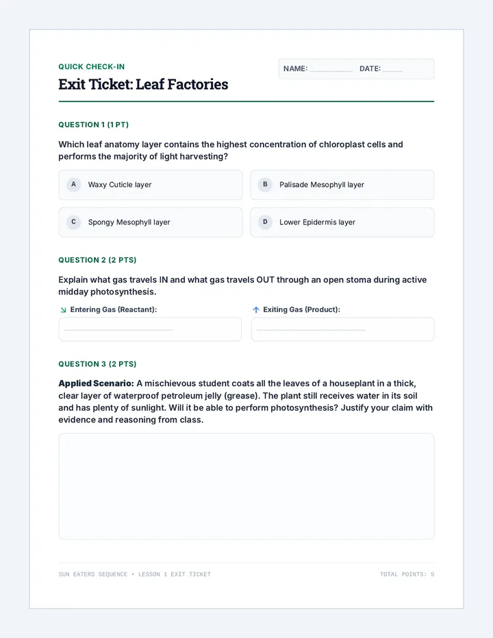 Leaf Factories Exit Ticket