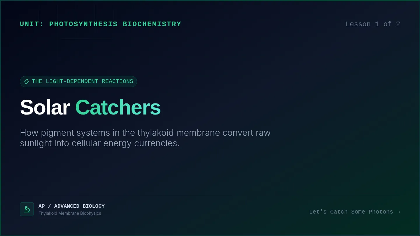 Solar Catchers Slides