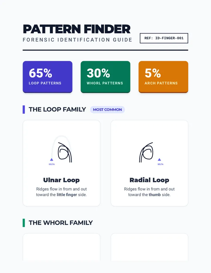 Pattern Finder Reference