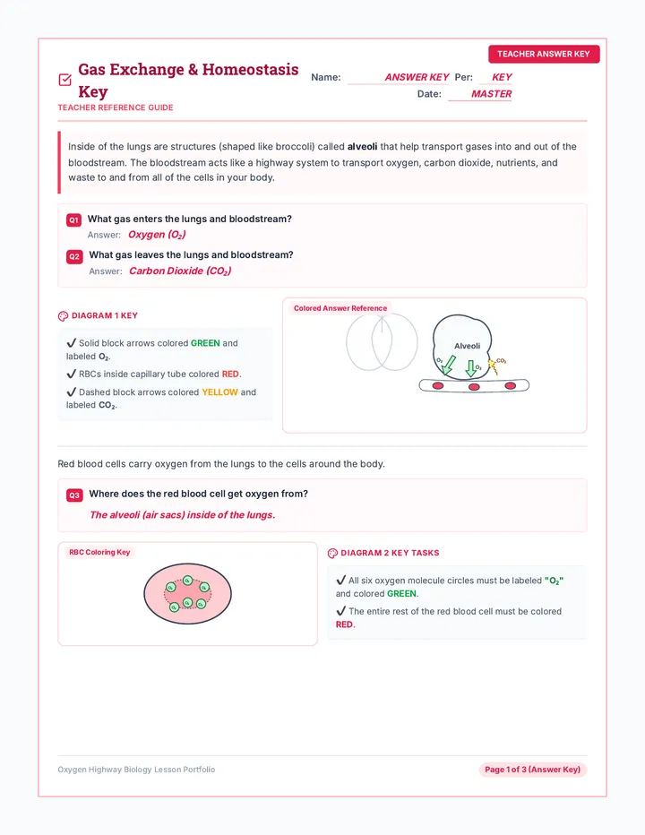 Oxygen Highway Workbook Answer Key