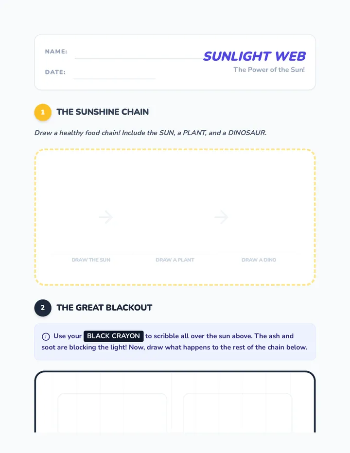 Sunlight Web Activity Sheet