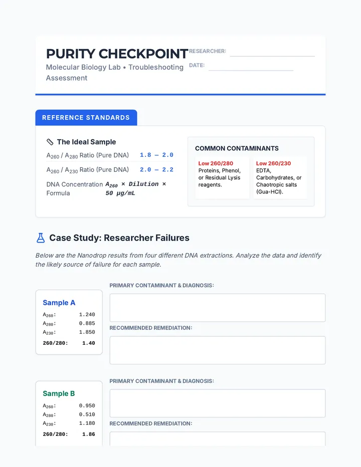 Purity Checkpoint Worksheet