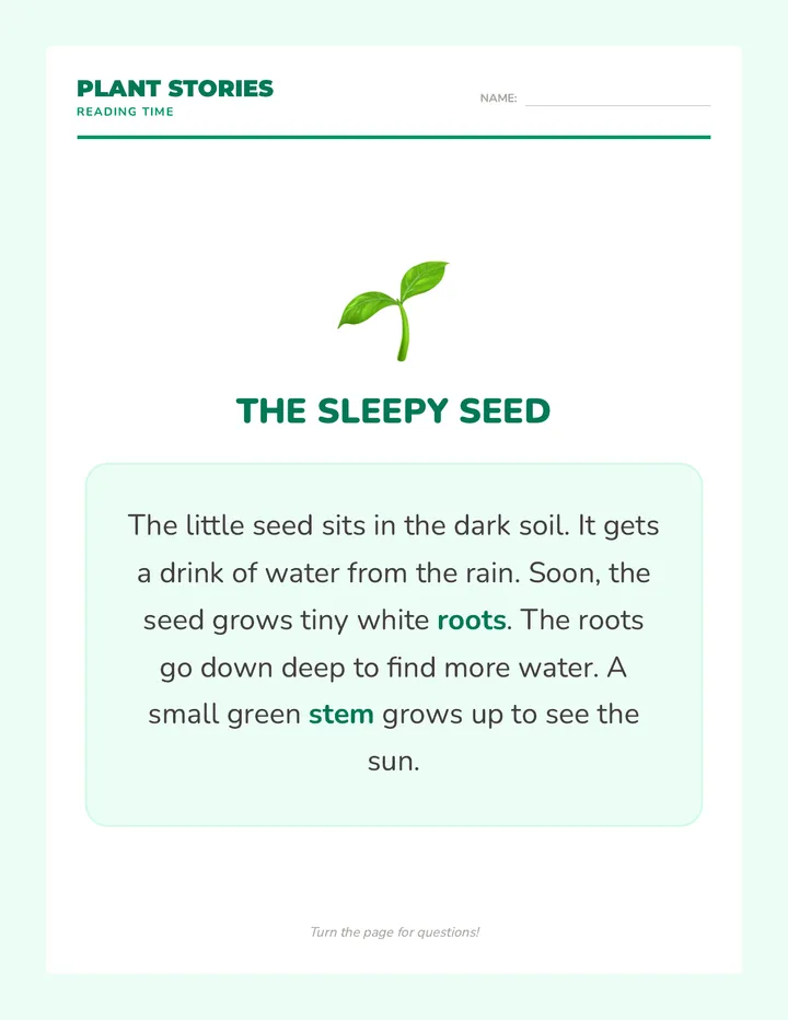 Plant Power Stories Worksheet
