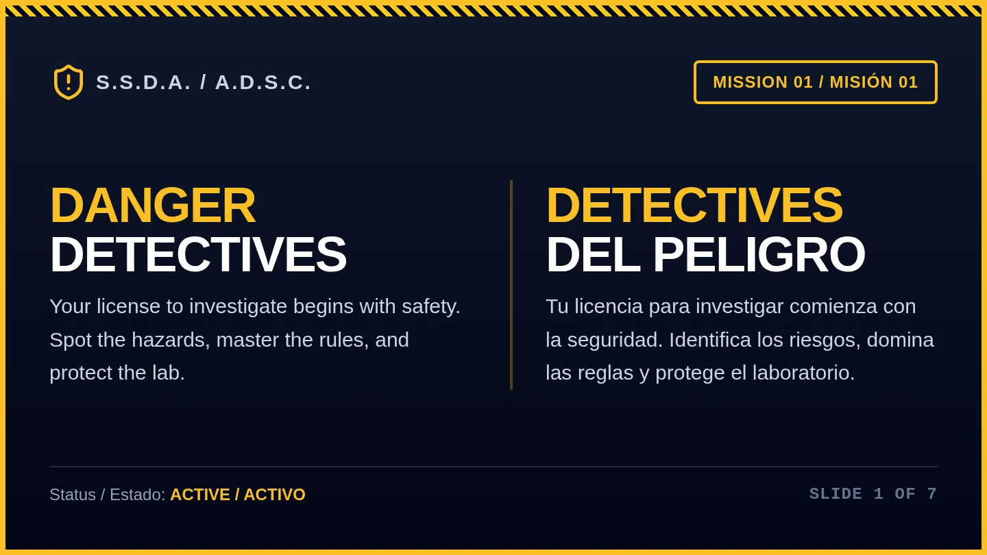 Danger Detectives Slides