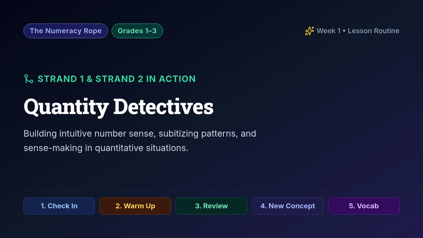Quantity Detectives Presentation Slides