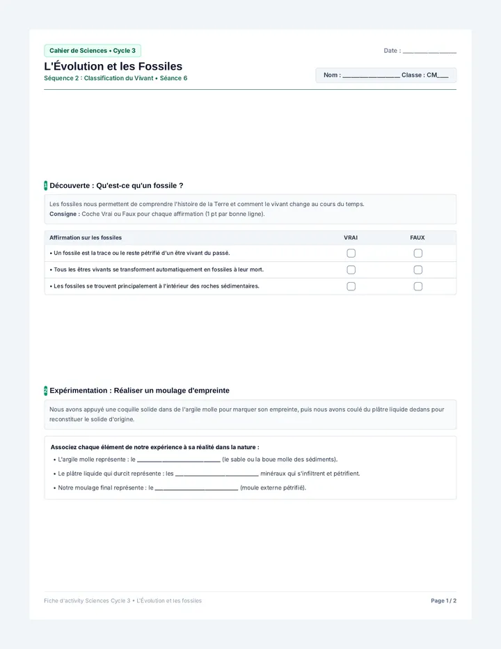L'Évolution et les Fossiles Fiche Élève