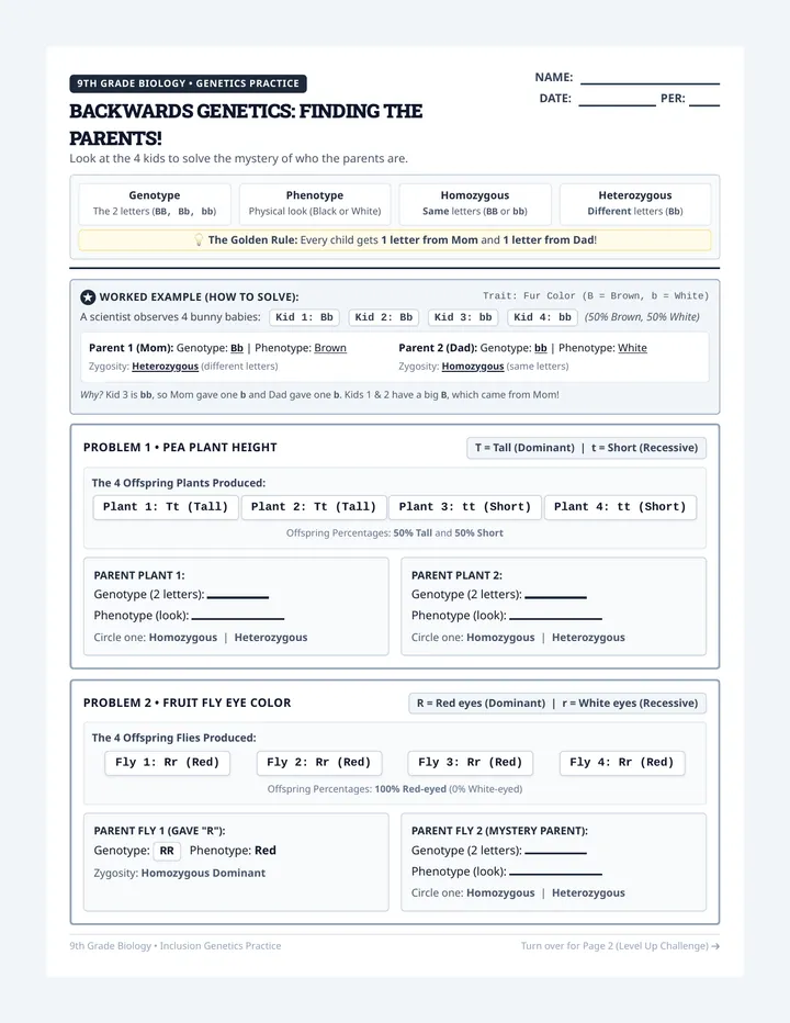 Reverse Genetics Investigation Worksheet