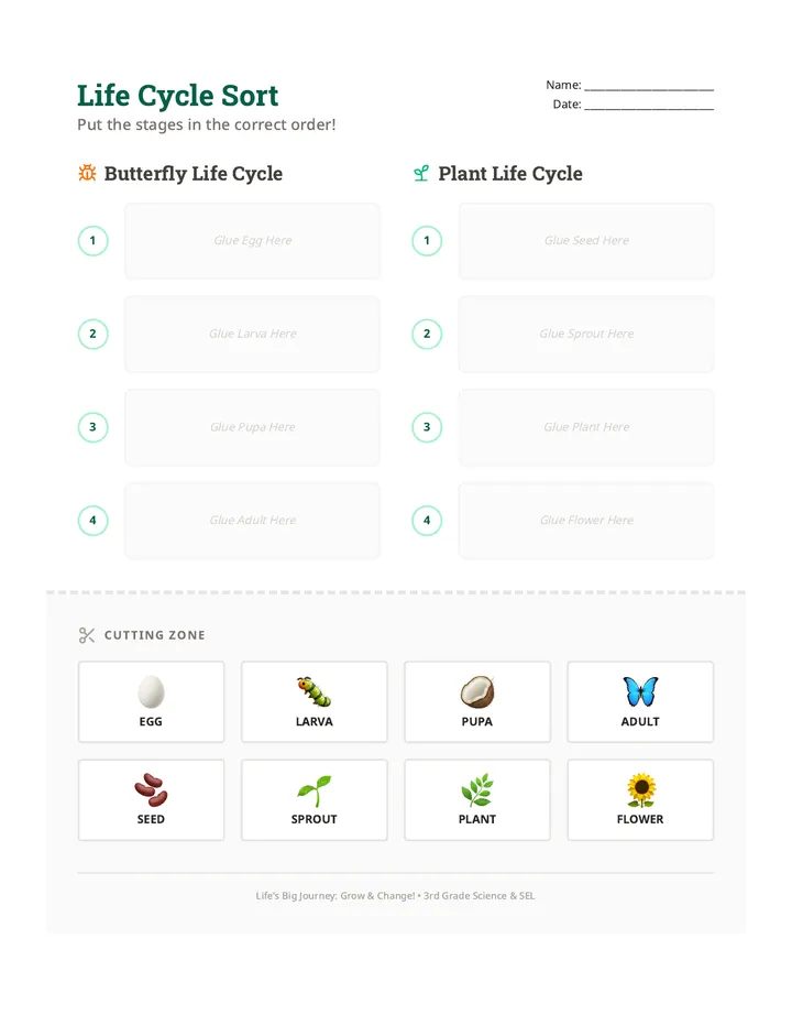 Life Cycle Sort Activity