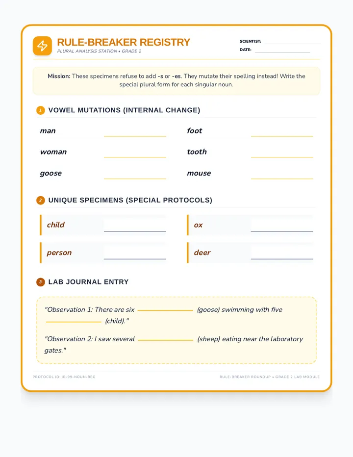 Irregular Noun Registry Worksheet Revised