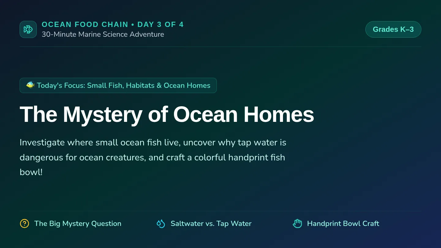 Ocean Homes Slides