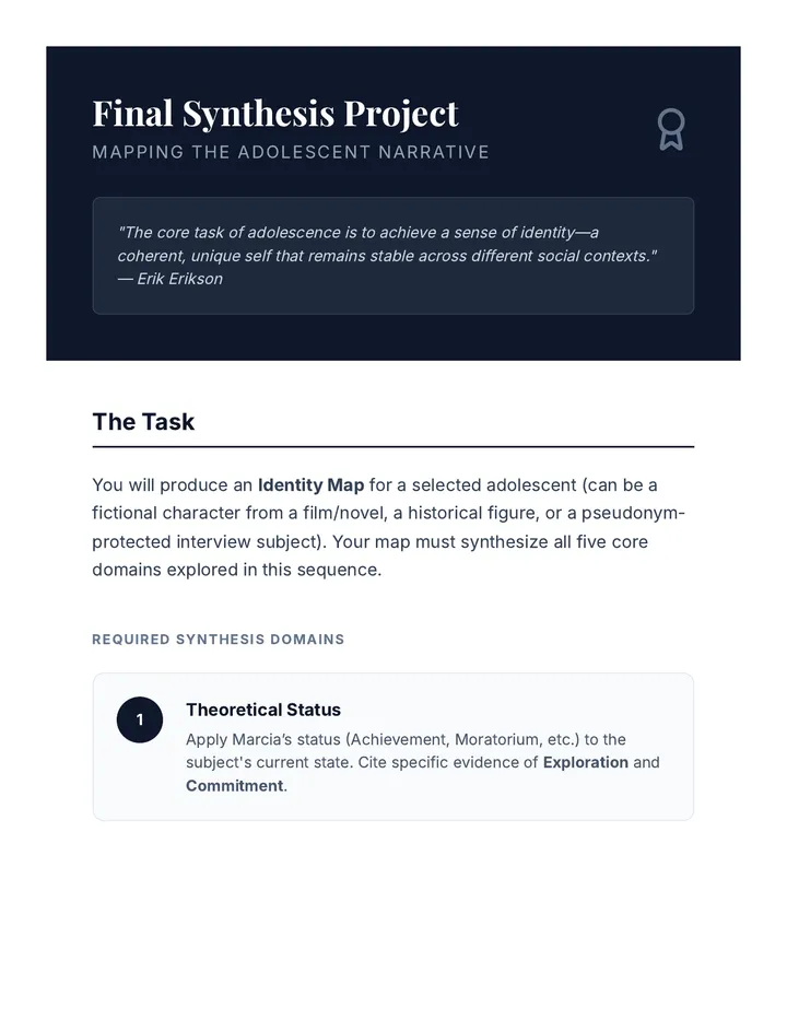 Identity Synthesis Project Guide