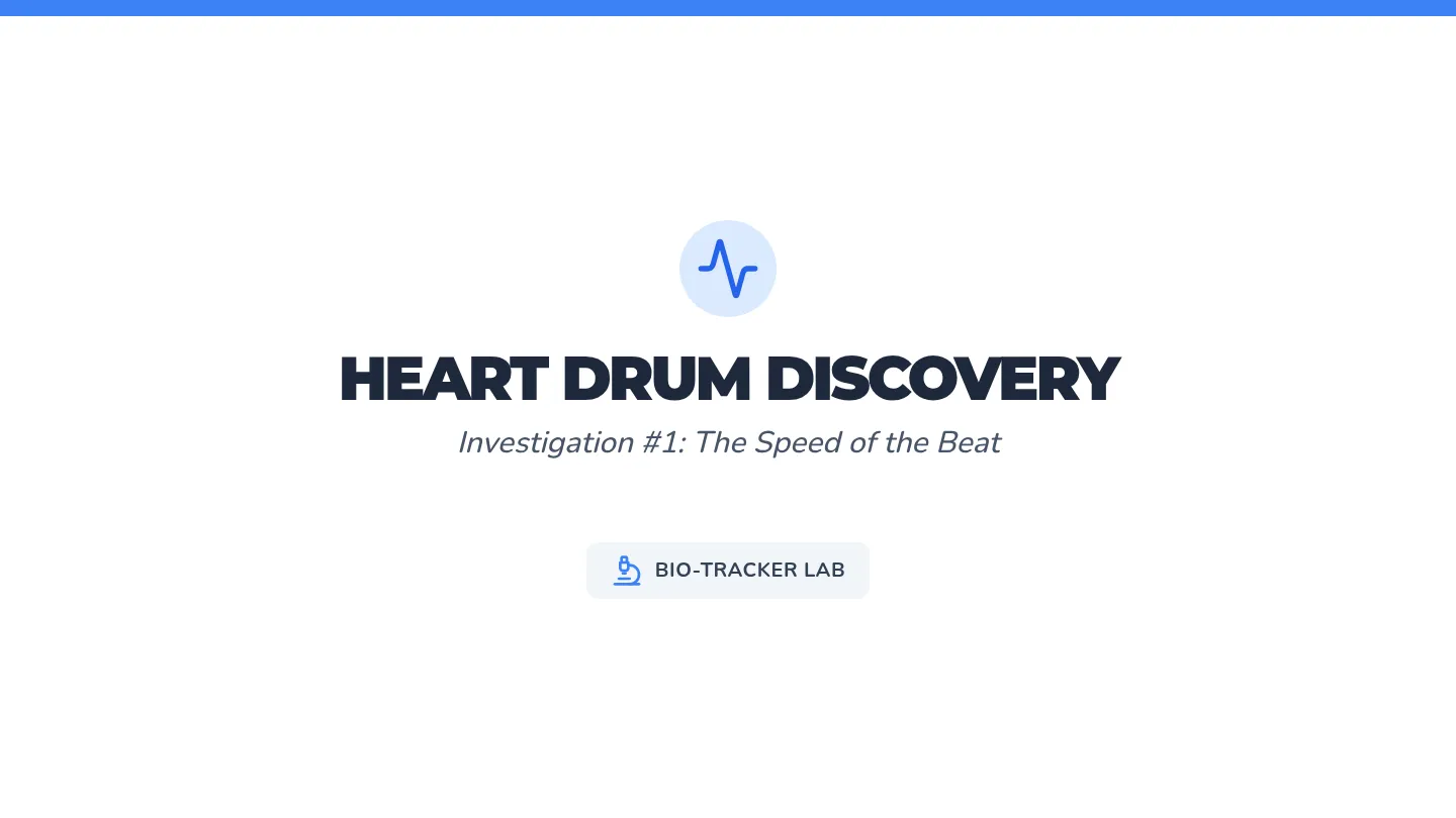 Heart Drum Slides