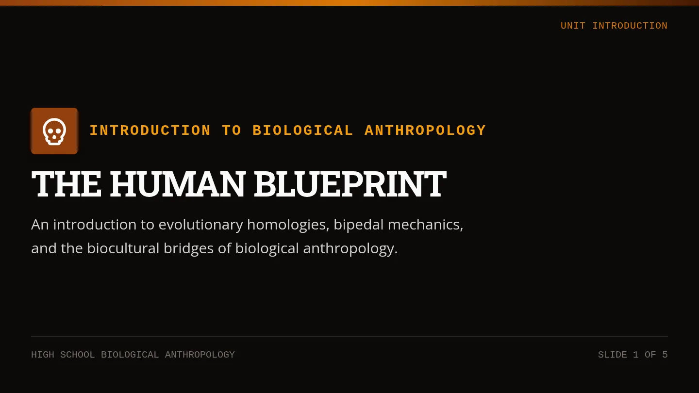 Human Blueprint Slides
