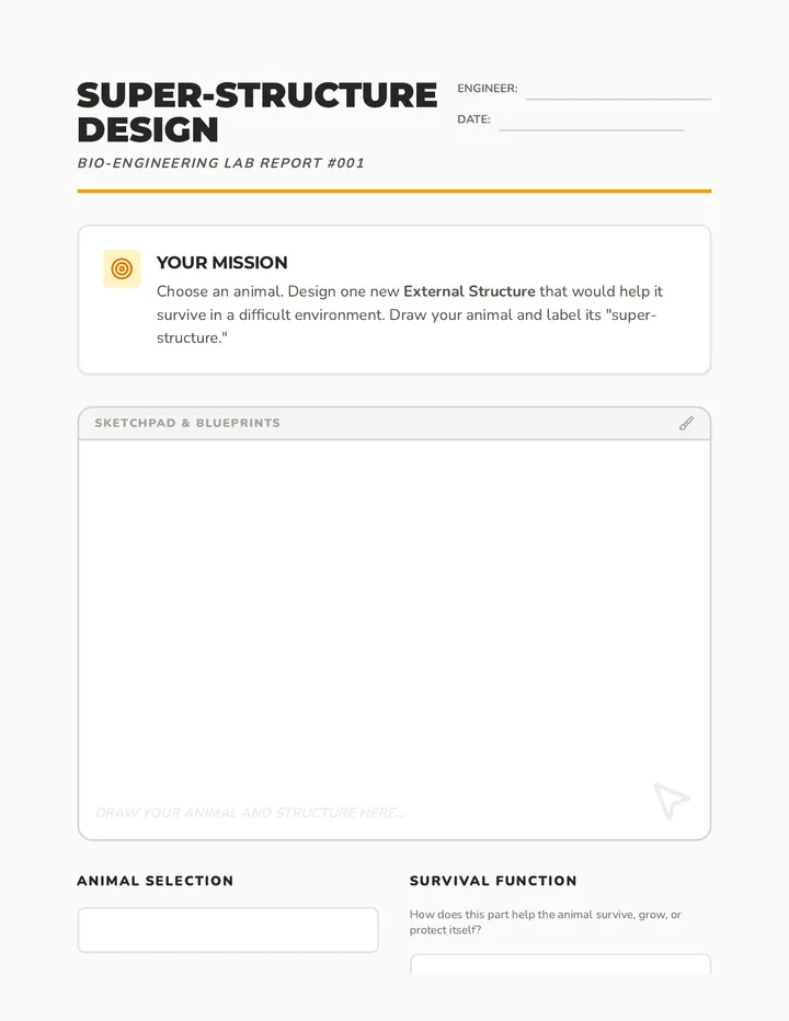 Super-Structure Design Activity