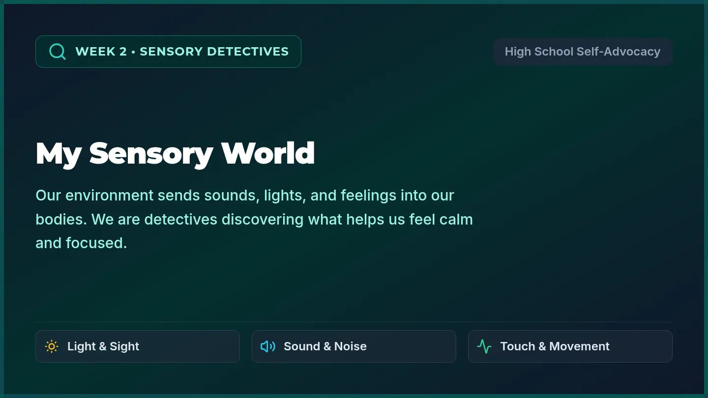 Sensory Detective Slides