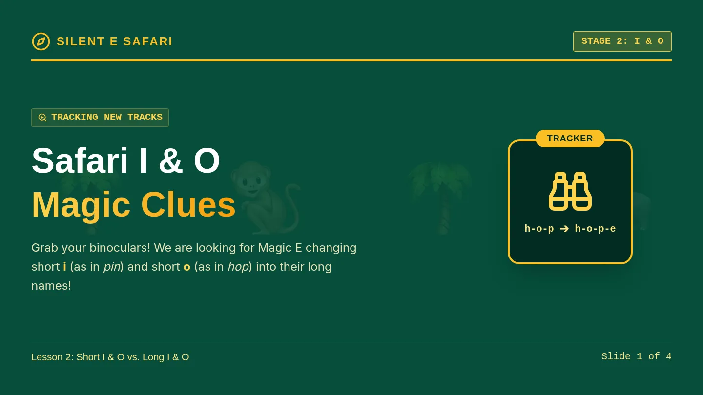 Magic I and O Safari Slides