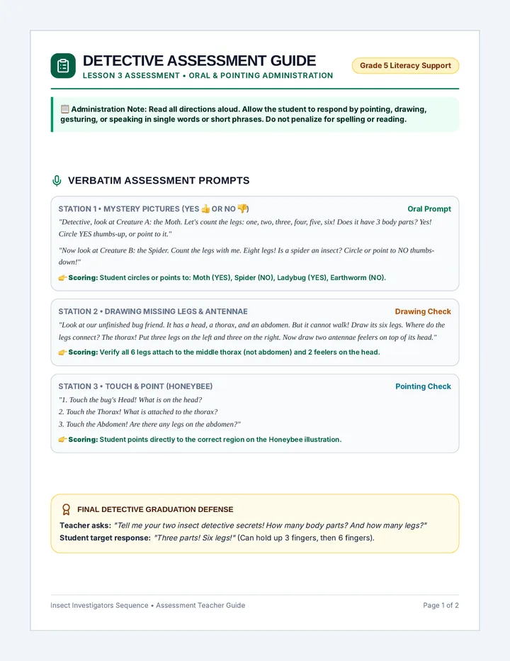Detective Assessment Teacher Guide