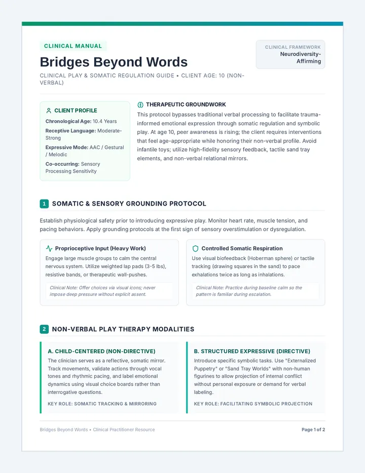 Bridges Beyond Words Clinical Guide
