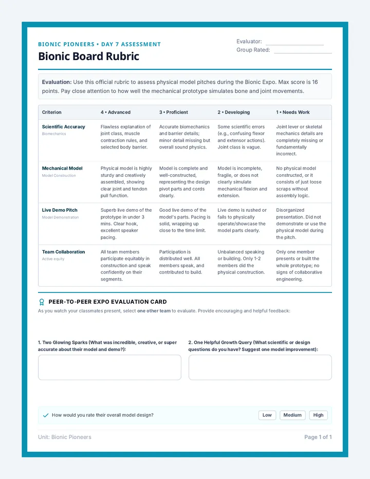 Bionic Board Rubric