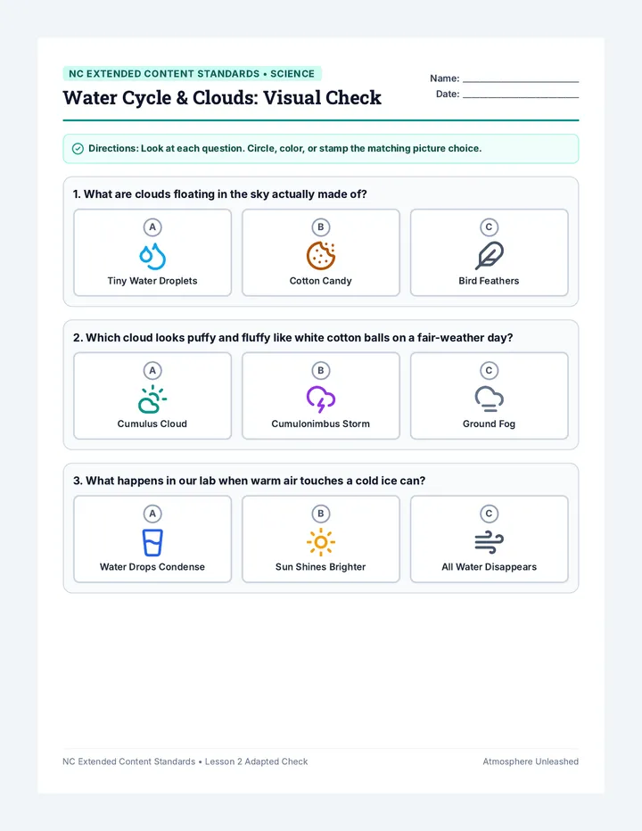 Clouds Adapted Worksheet
