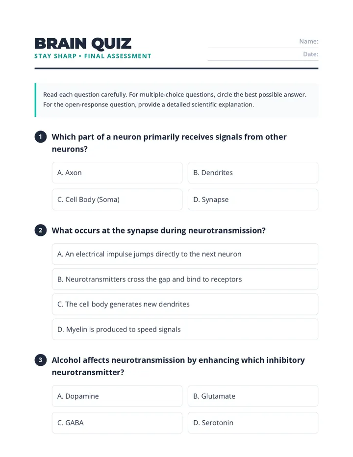 Brain Quiz Quiz