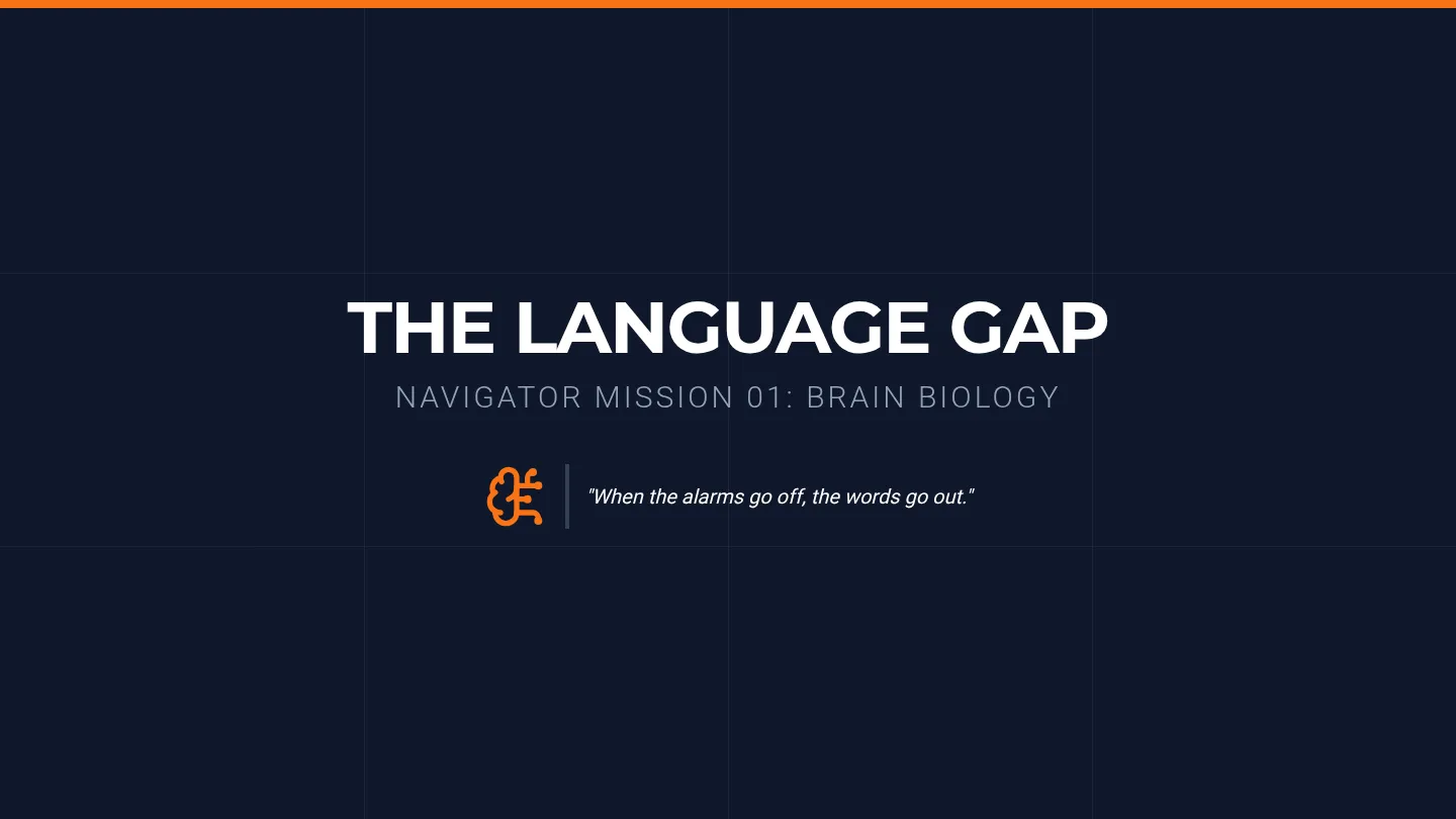 The Language Gap Slides