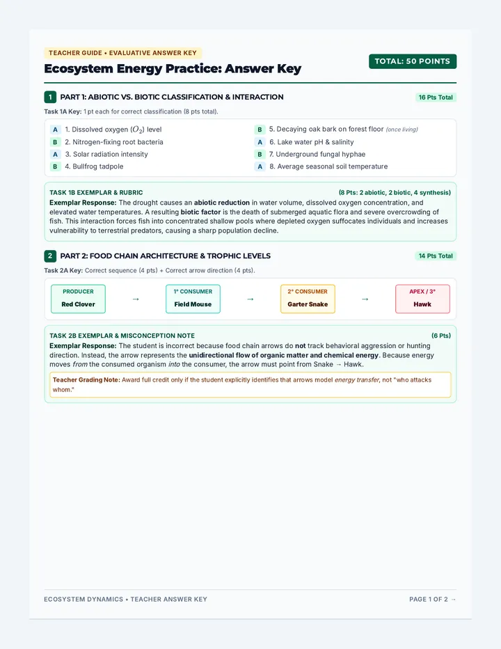 Ecosystem Energy Answer Key
