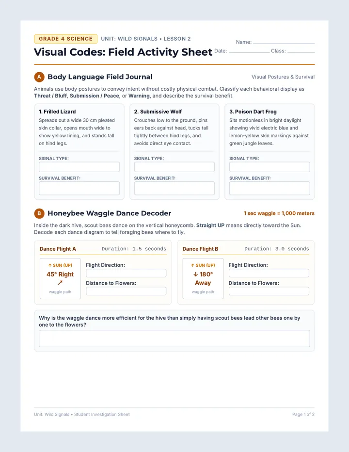 Visual Codes Activity