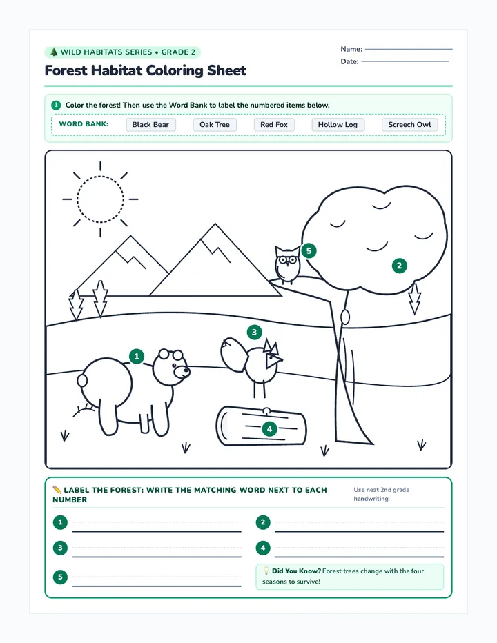 Forest Habitat Coloring Worksheet