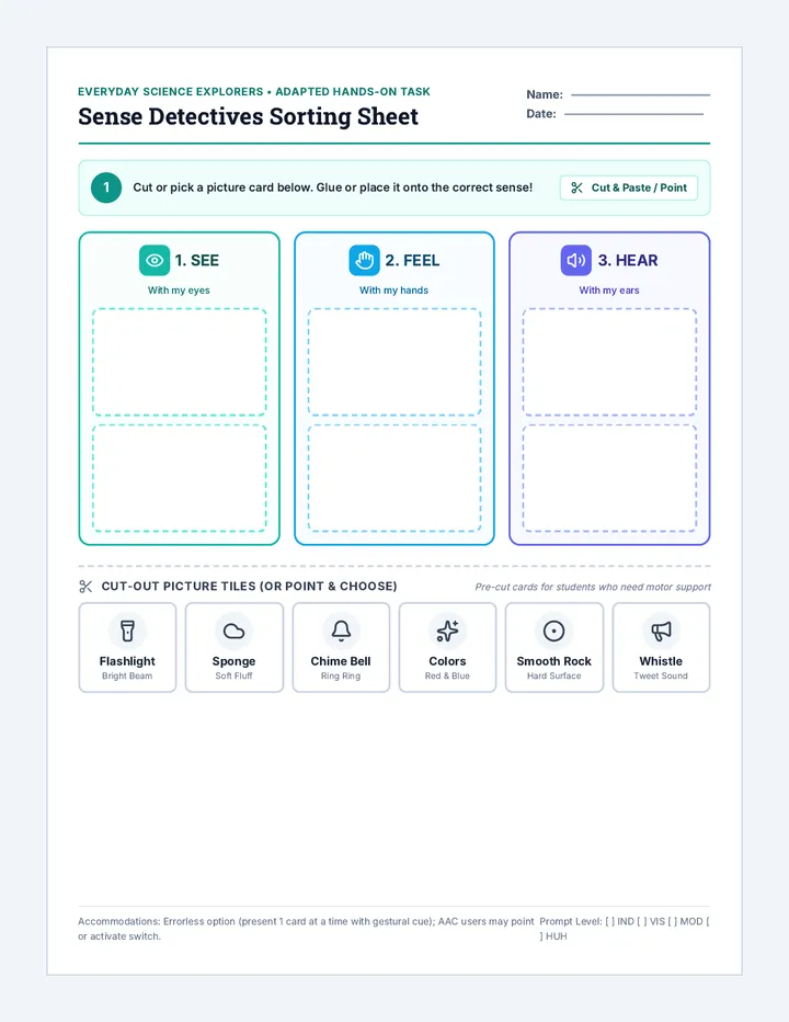 Sense Detectives Sorting Worksheet
