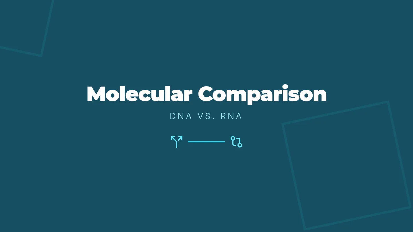 Molecular Comparison Slides
