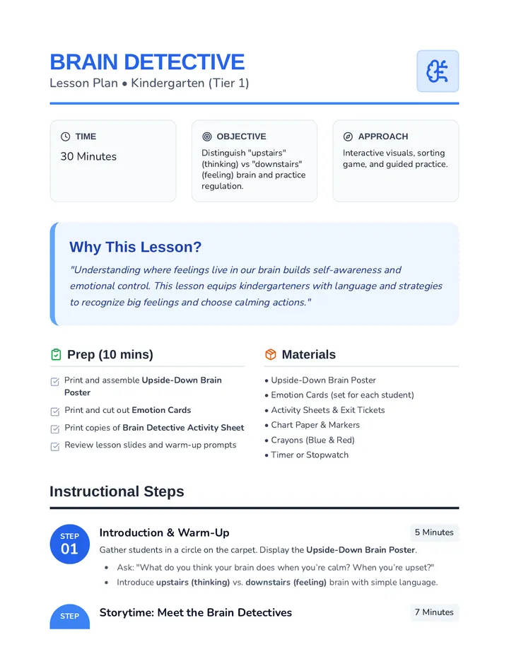 Brain Detective Lesson Plan