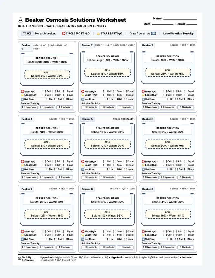 Beaker Osmosis Solutions Worksheet