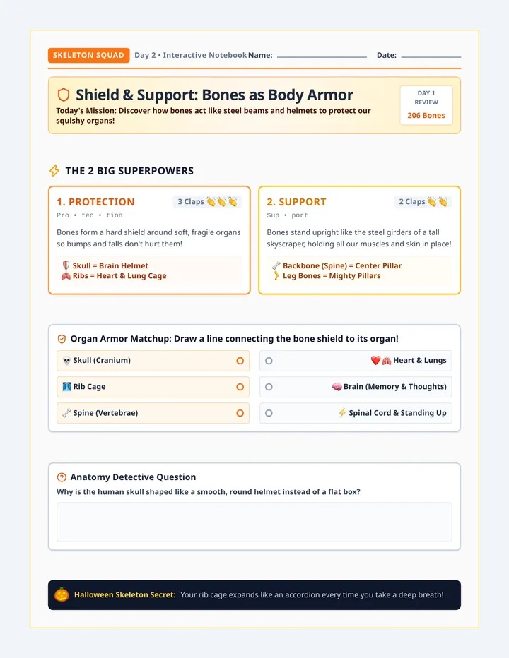 Shield Support Notebook Entry