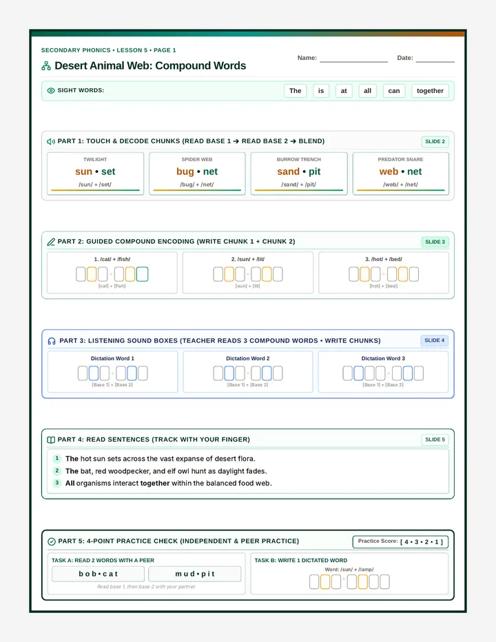 Desert Web Activity Sheet