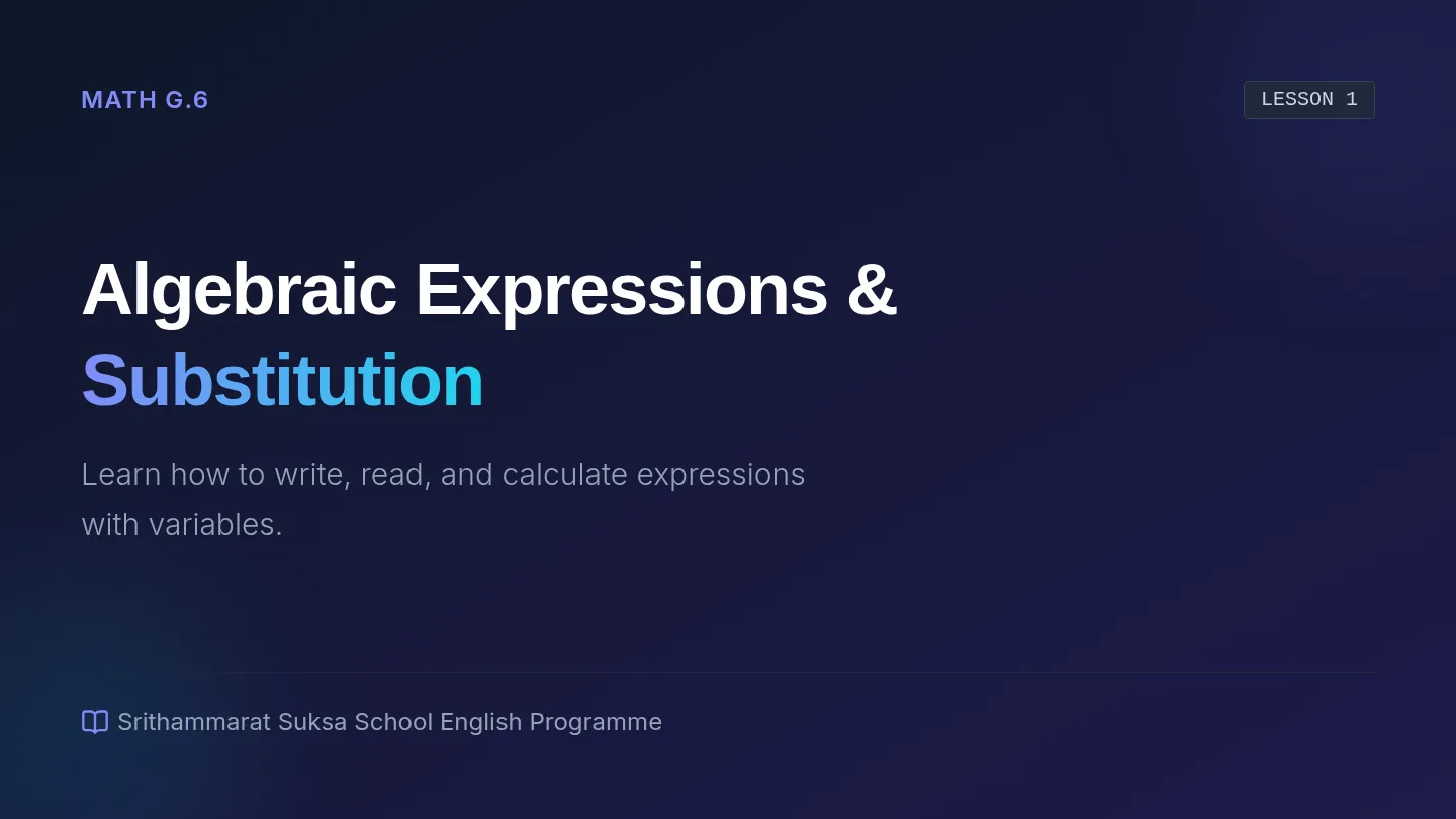 Algebraic Expressions Slides