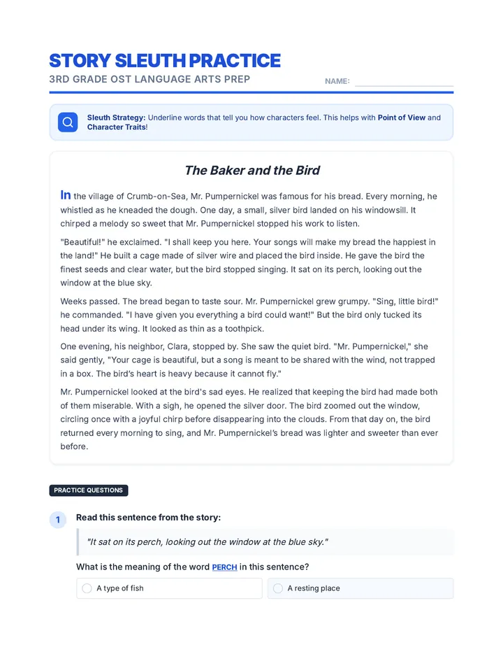 Story Sleuth Practice Worksheet