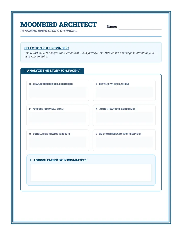 Moonbird Architect Organizer