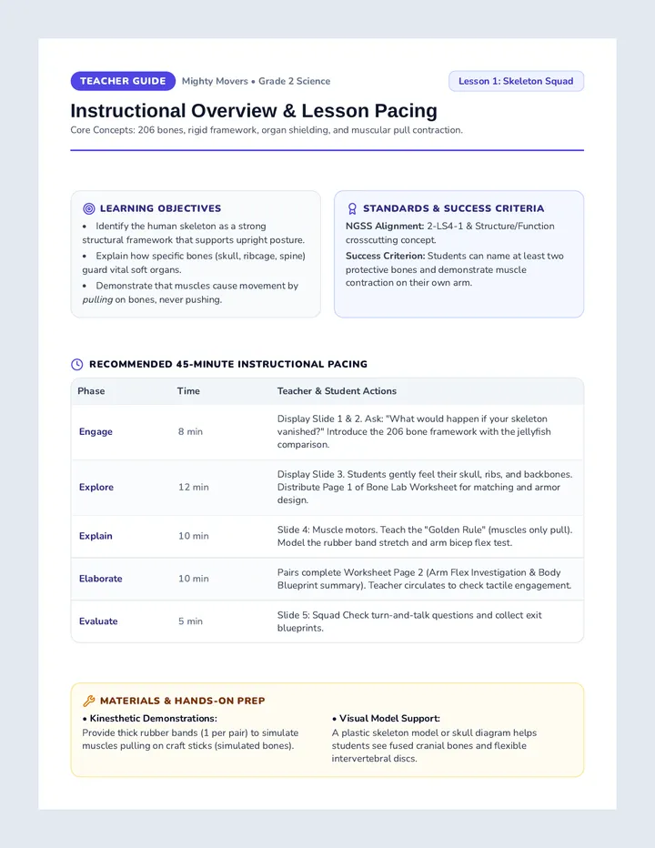 Skeleton Squad Teacher Guide