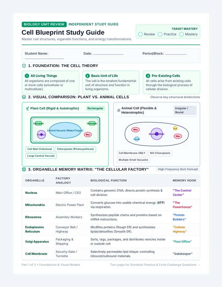 Cell Blueprint Study Guide