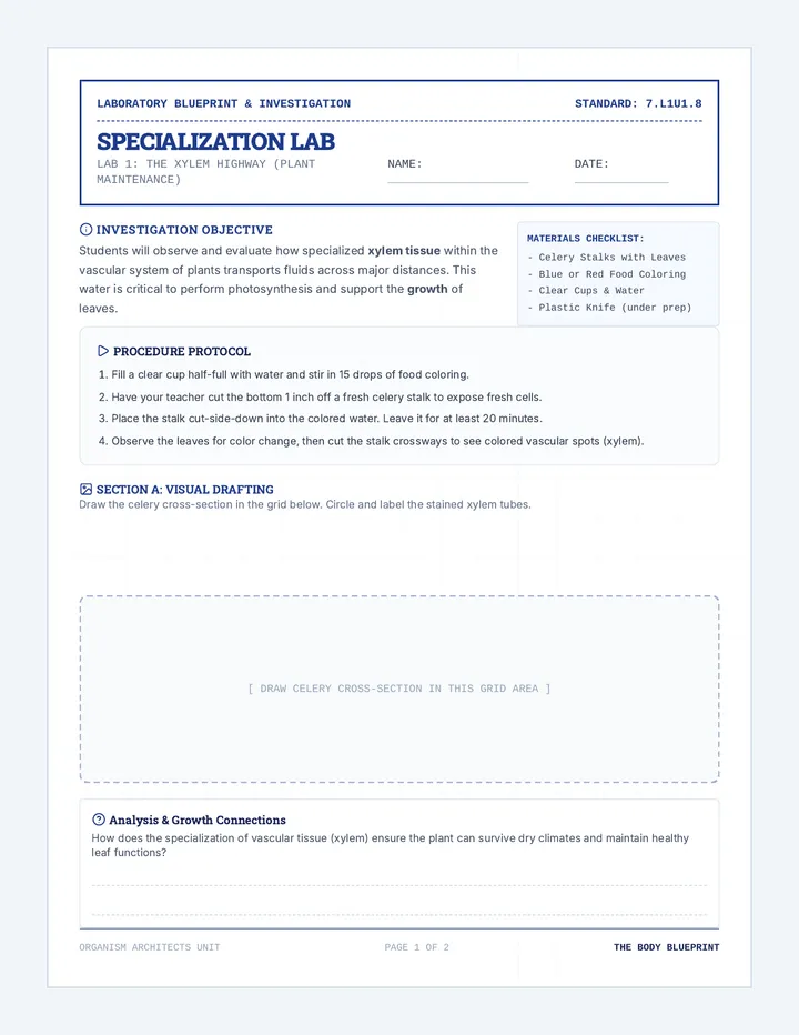Specialization Lab Guide