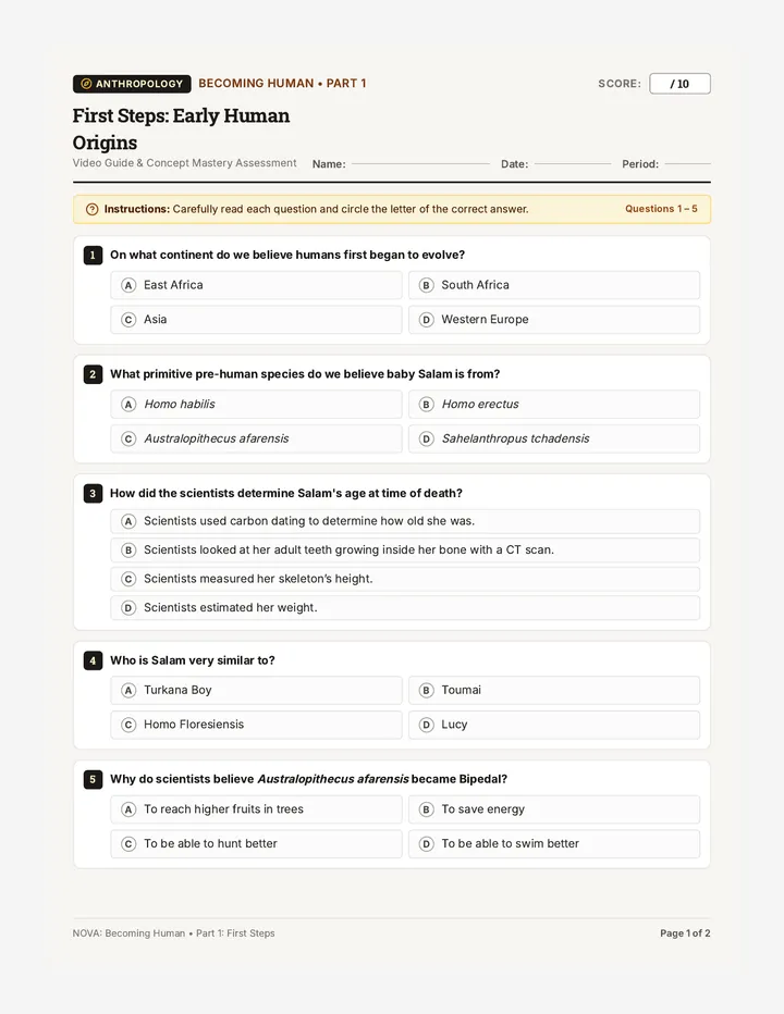 First Steps Quiz