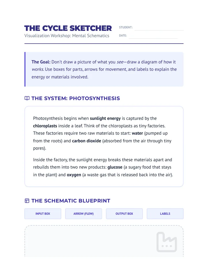 Cycle Sketcher Worksheet