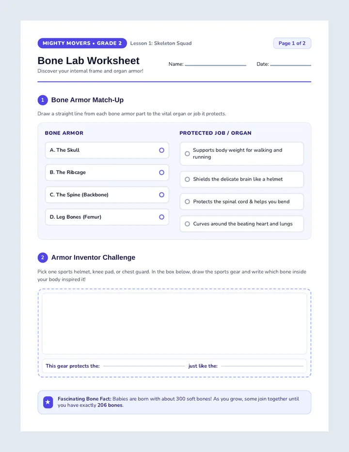 Bone Lab Worksheet