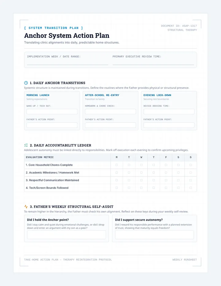 Anchor System Action Plan