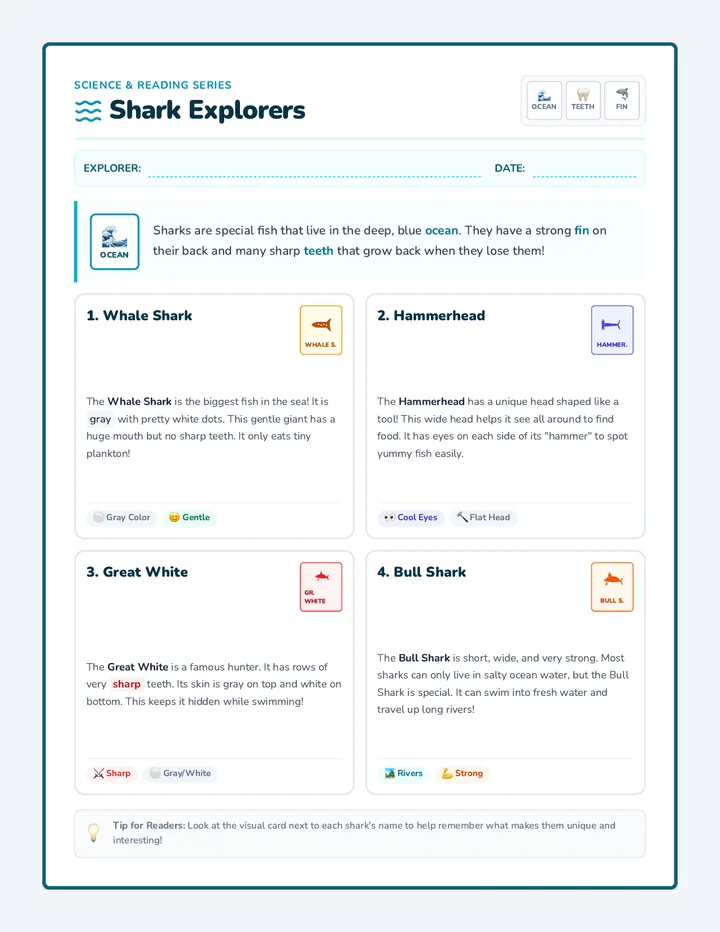 Shark Facts Handout