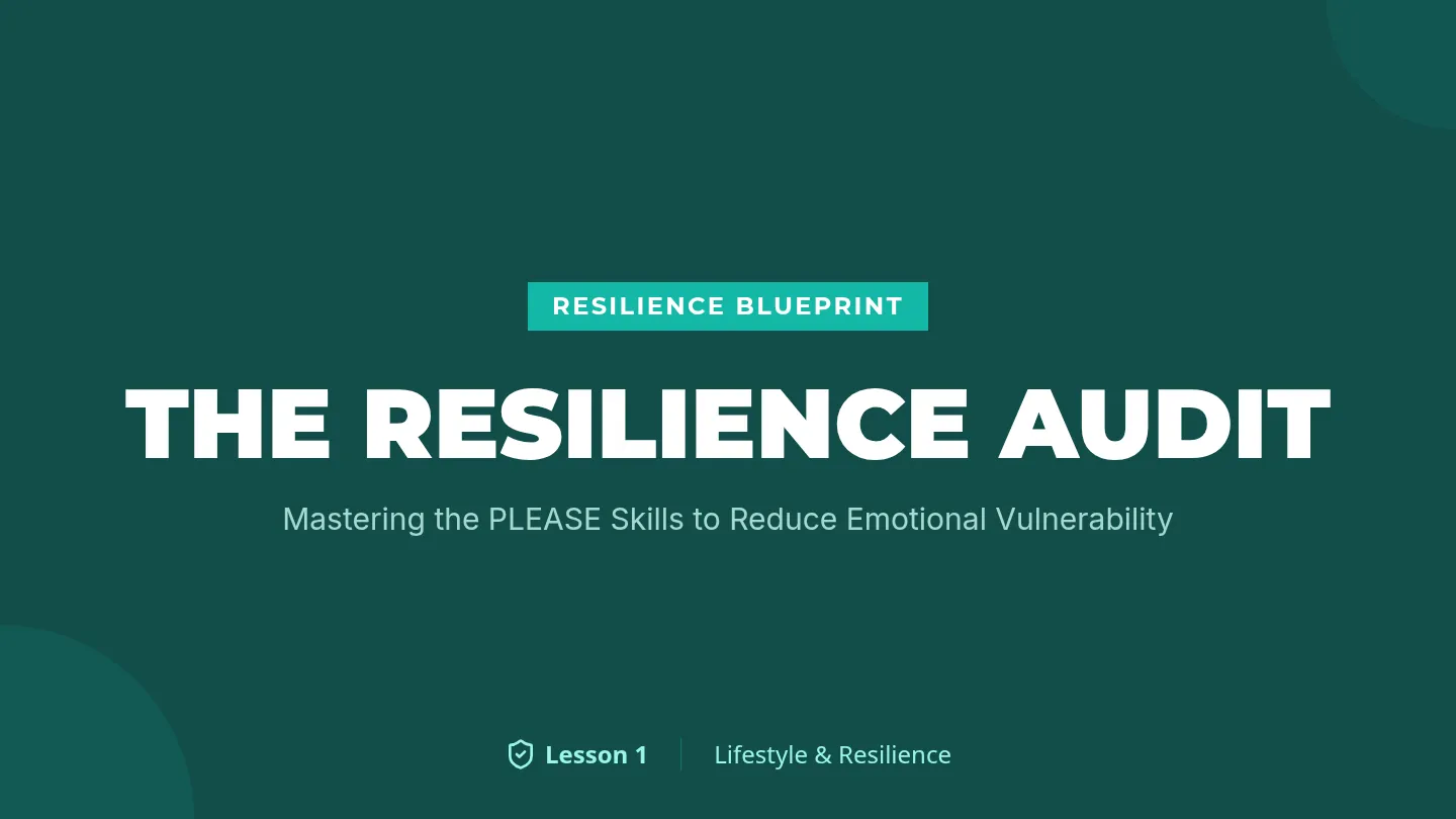 Resilience Audit Slides